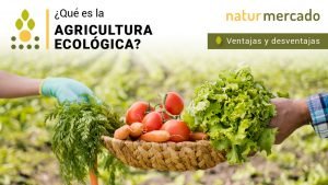 Que es la agricultura ecologica