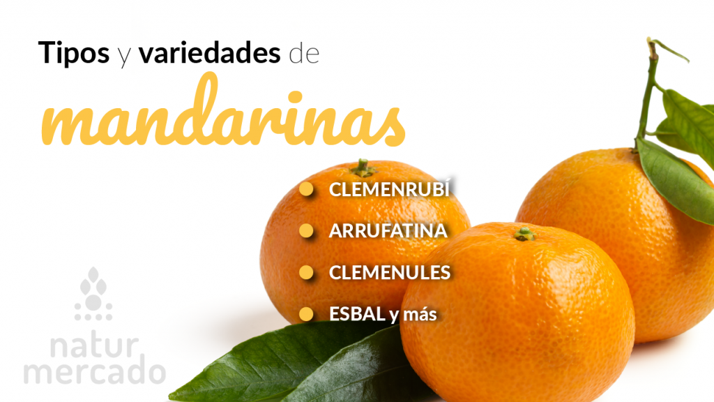 Tipos y variedades de mandarinas